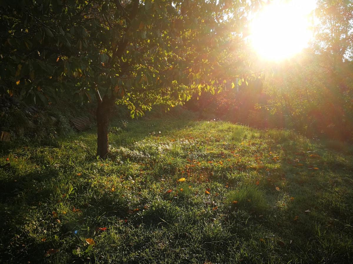 Cottage La Casa Del Pittore Reggimonti Zewnętrze zdjęcie