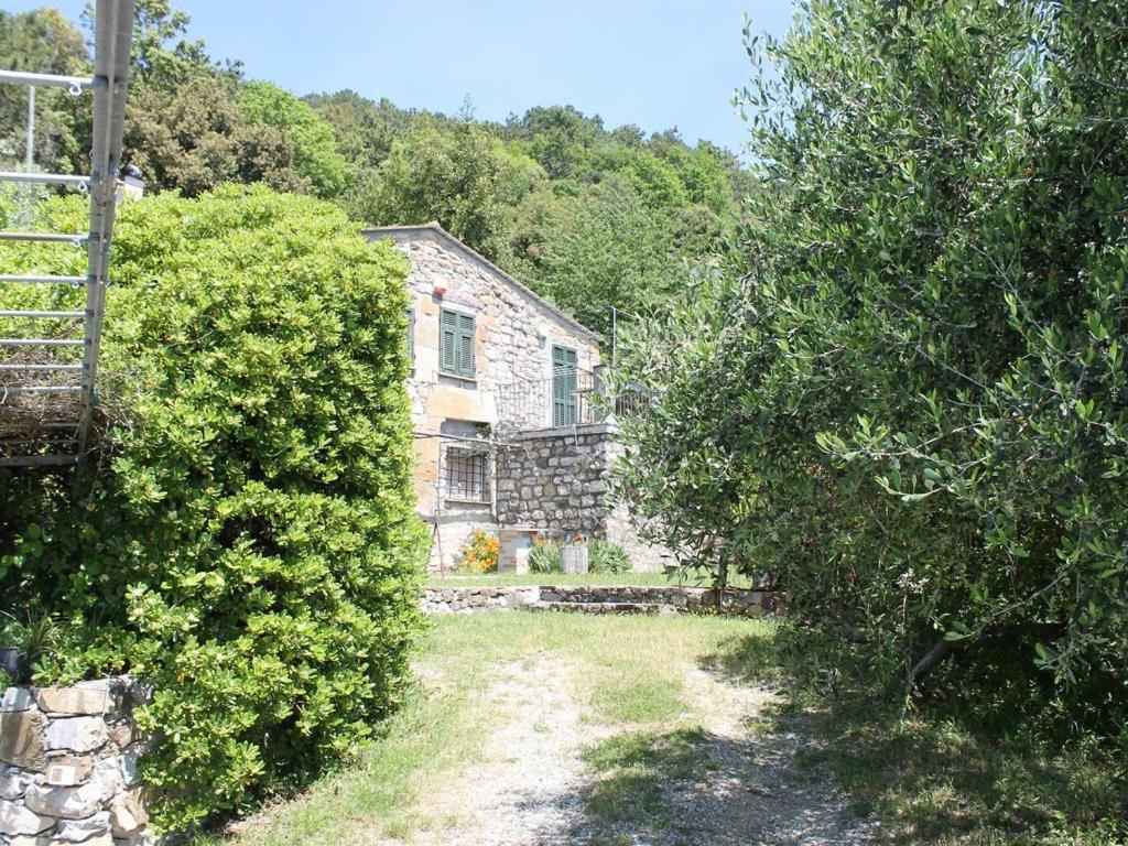 Cottage La Casa Del Pittore Reggimonti Zewnętrze zdjęcie