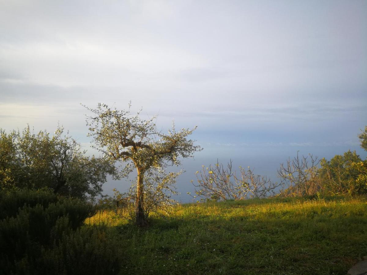 Cottage La Casa Del Pittore Reggimonti Zewnętrze zdjęcie