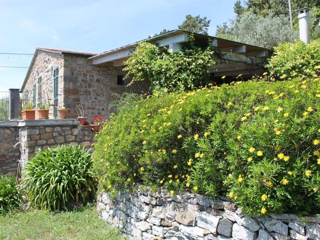 Cottage La Casa Del Pittore Reggimonti Zewnętrze zdjęcie